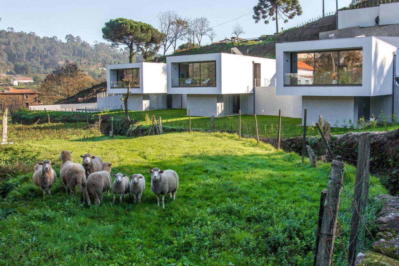 Viana Do Castelo - Amonde Village - Casa L - Disfrute Da Natureza Exterior foto